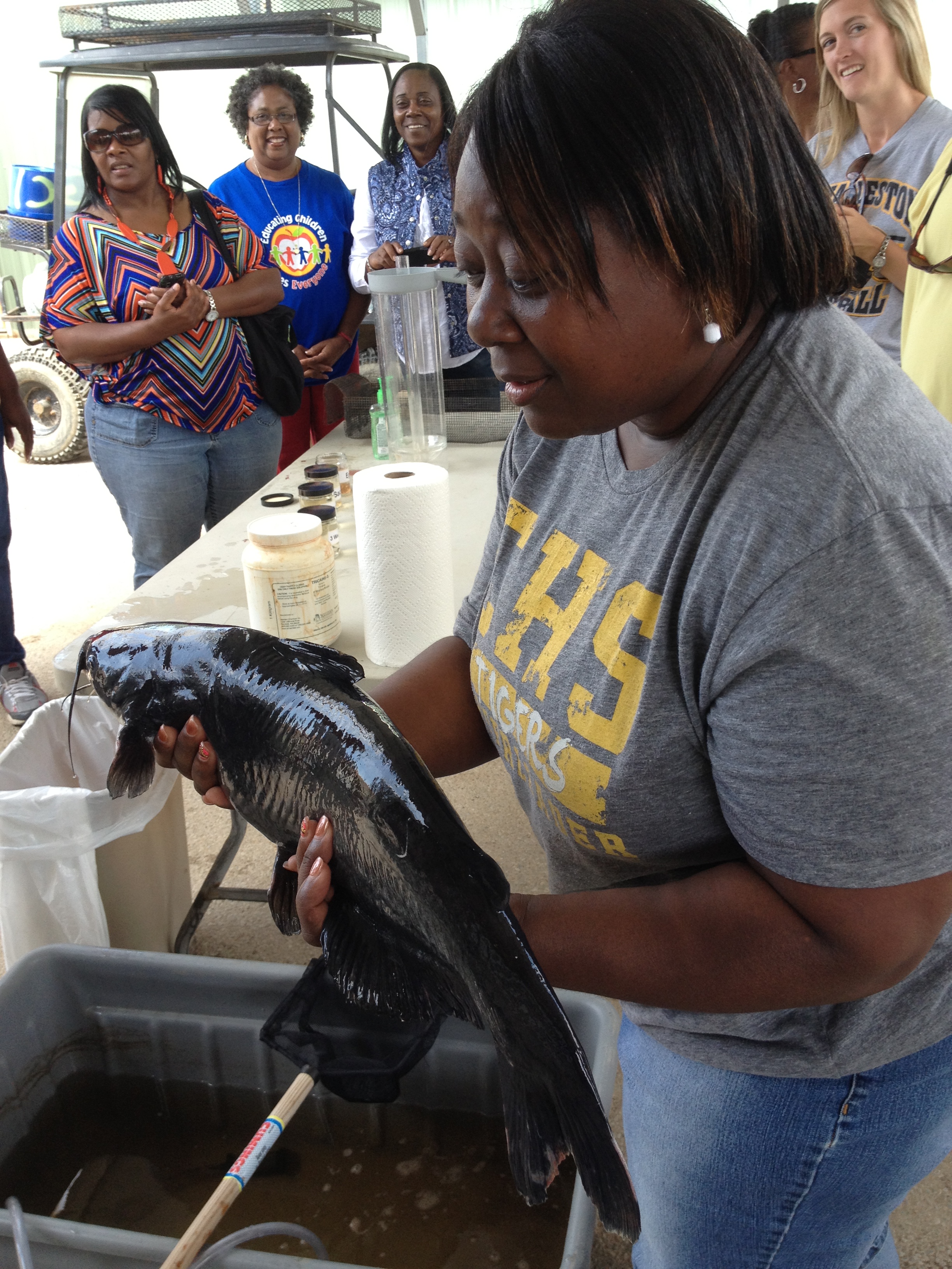 Local teacher handles catfish at the breeding lab in Stoneville.